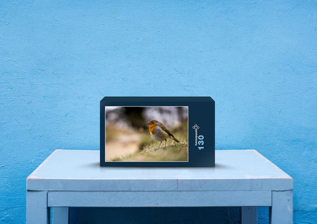 hansepuzzle 36639 - Rotkehlchen Puzzle, 130 Teile, Tierwelt, 28,7 x 20,0cm mit hochwertiger Aufbewahrung, Kartonbox und wiederverschließbarem Beutel