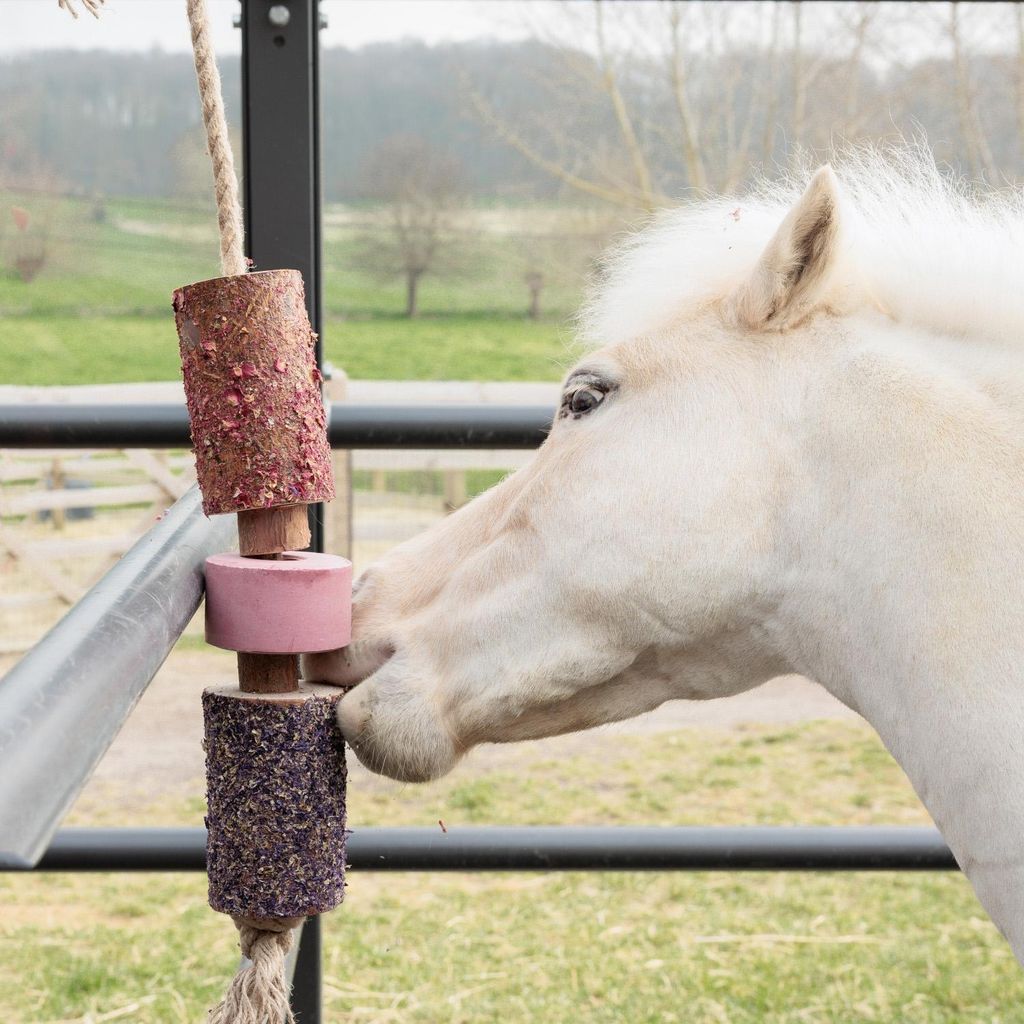 Grooming Deluxe Wooden Relax Horse Toy with Salt Lick, Farbe:sammy