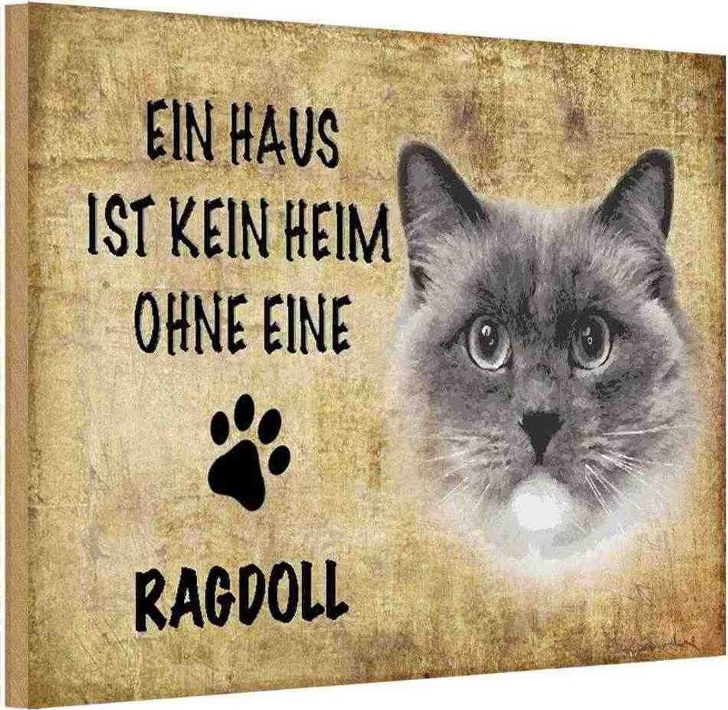 vianmo Holzschild 20x30 cm Ragdoll Katze ohne kein Heim Tier Haustier