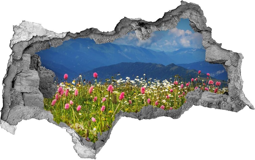 Selbstklebender Loch-3D-Aufkleber 95x73 cm Wiese in den Produktbild 