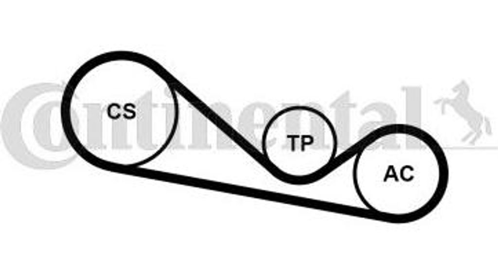 CONTINENTAL CTAM 4PK1237K1 Keilrippenriemensatz OE kompatibel mit Passat 3B, Superb, A8 4D, A6 4B, A4 8D