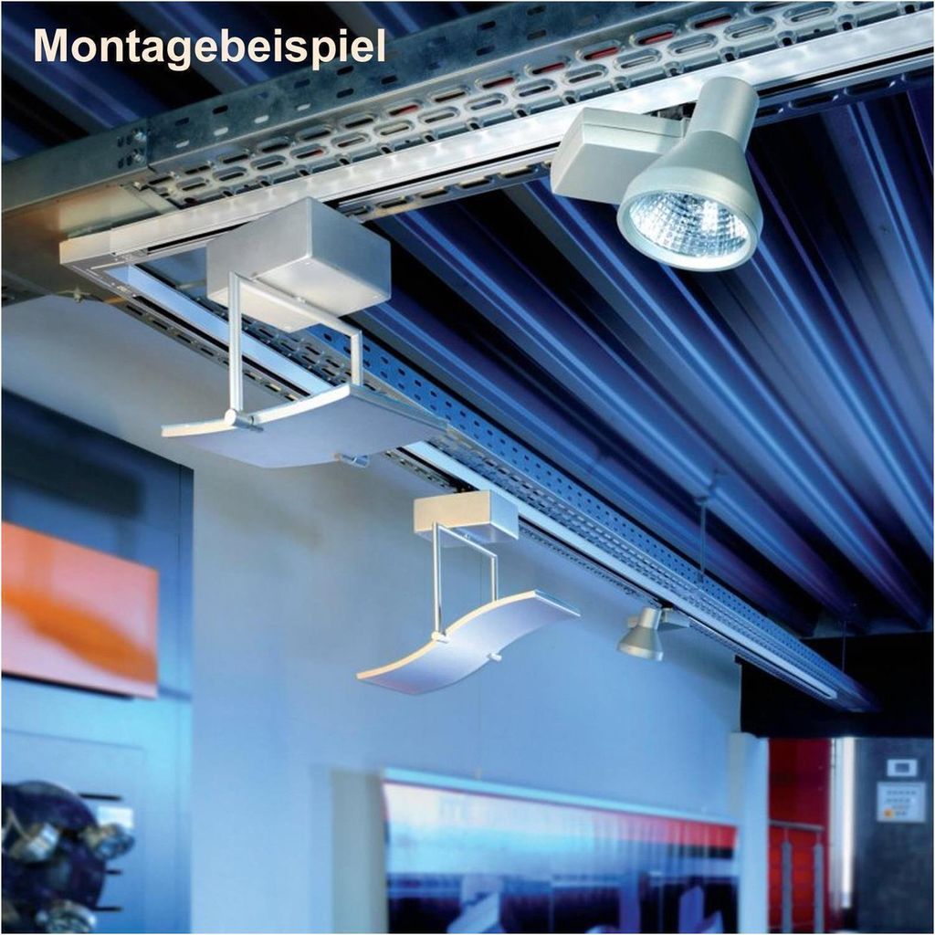 Strahler für Schienensystem M6 Hochvolt Track 5 LED Deckenspot 1-flammig Fischer