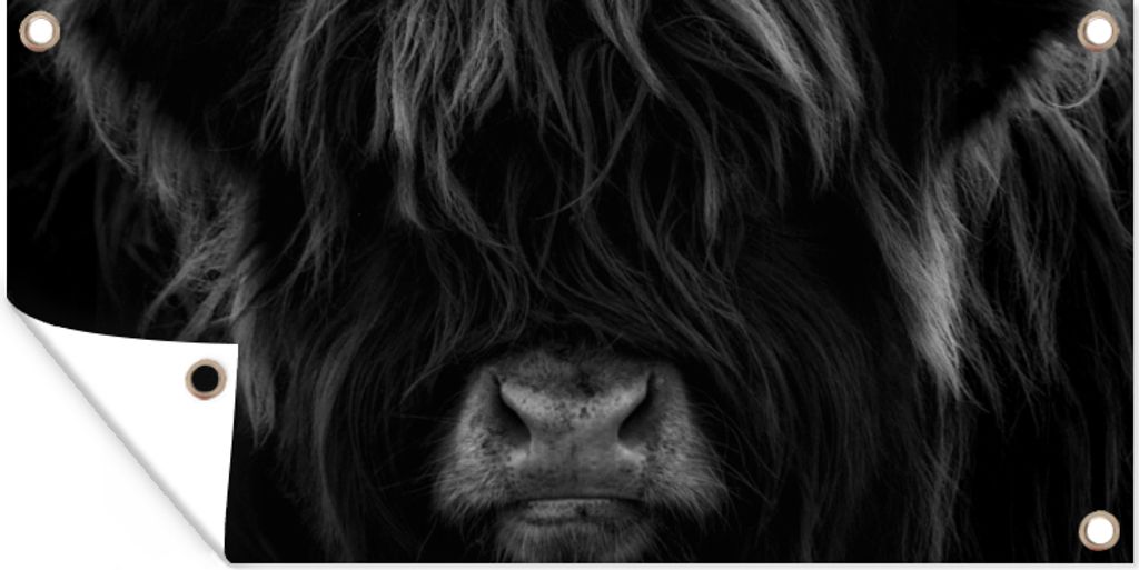 MuchoWow 160x80 cm Outdoor-Poster Gartendeko Sichtschutz Garten Poster für den Garten Schottischer Highlander - Kuh - Schwarz - Weiß - Porträt
