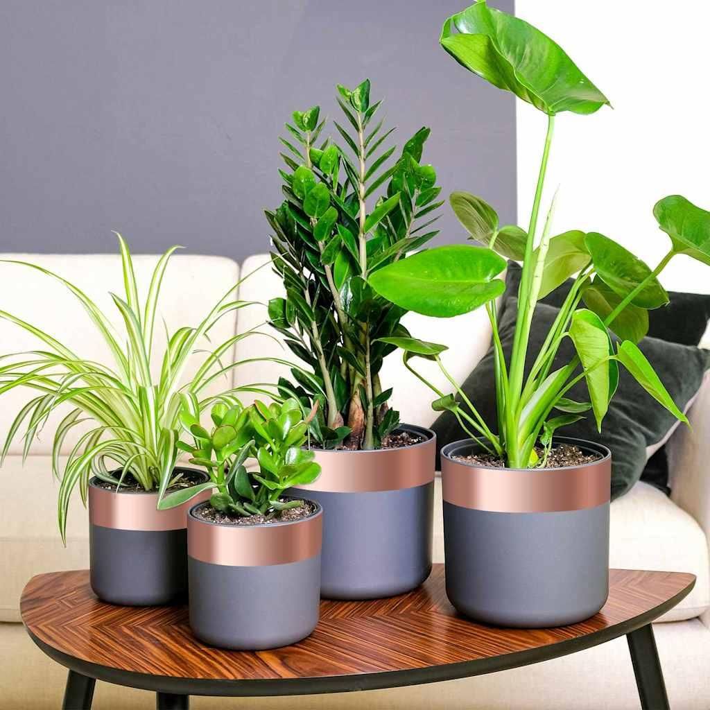 HOMMIE Kupferband Kupfer 2000x7cm Kupfer Promotion558169 - Garten & Heimwerken