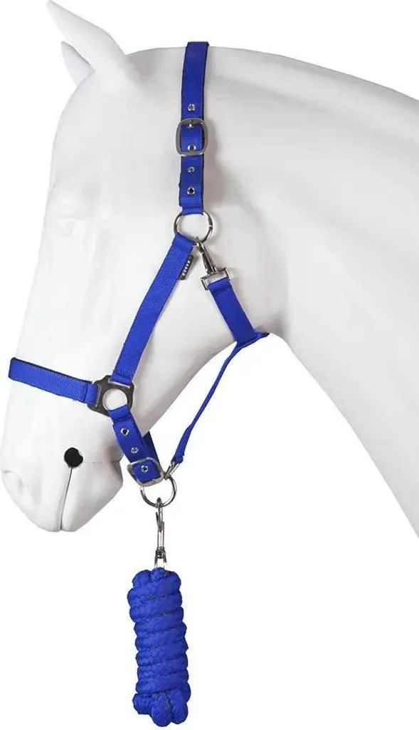 Licol et Longe Bleu Cob Horka Dime - Équipement Idéal Pansage et Transport