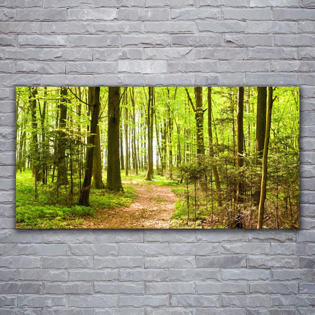 Glasbilder 120x60 Wandbild Druck auf Glas Wald Natur