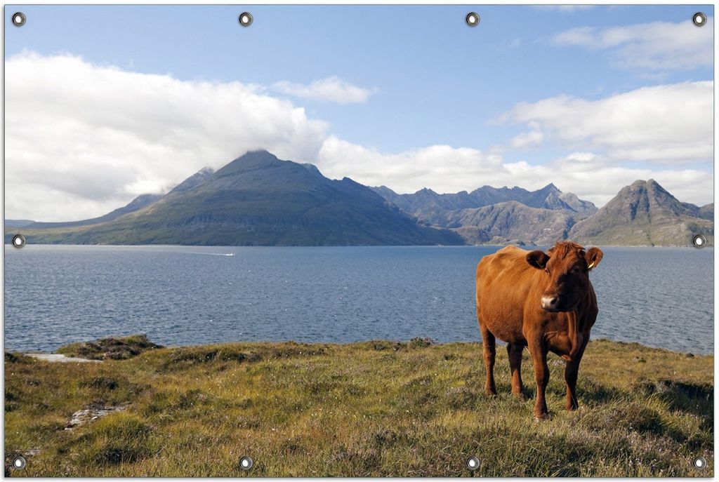 Wallario Outdoor-Poster für Garten oder Balkon, Motiv Kuh in den Bergen, in ca. 100 x 150 cm