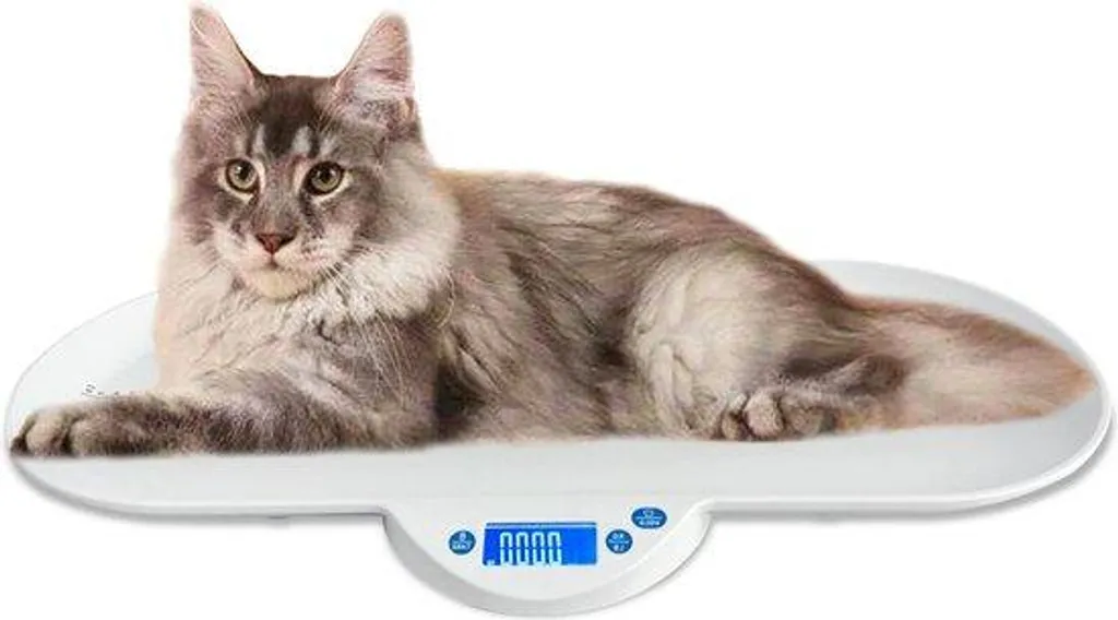 Pèse-personne numérique 60 cm blanc 28 kg - Balance de précision XL