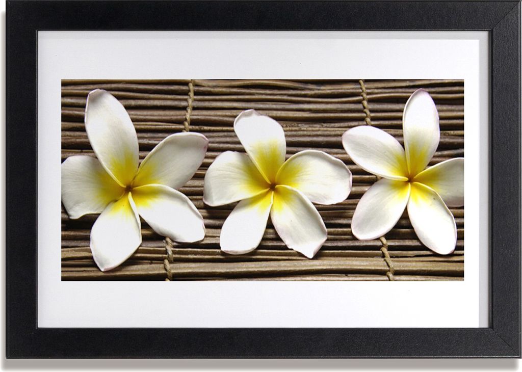 Bild 30x20 MDF-Rahmen Wandkunst Blumen Pflanzen Natur