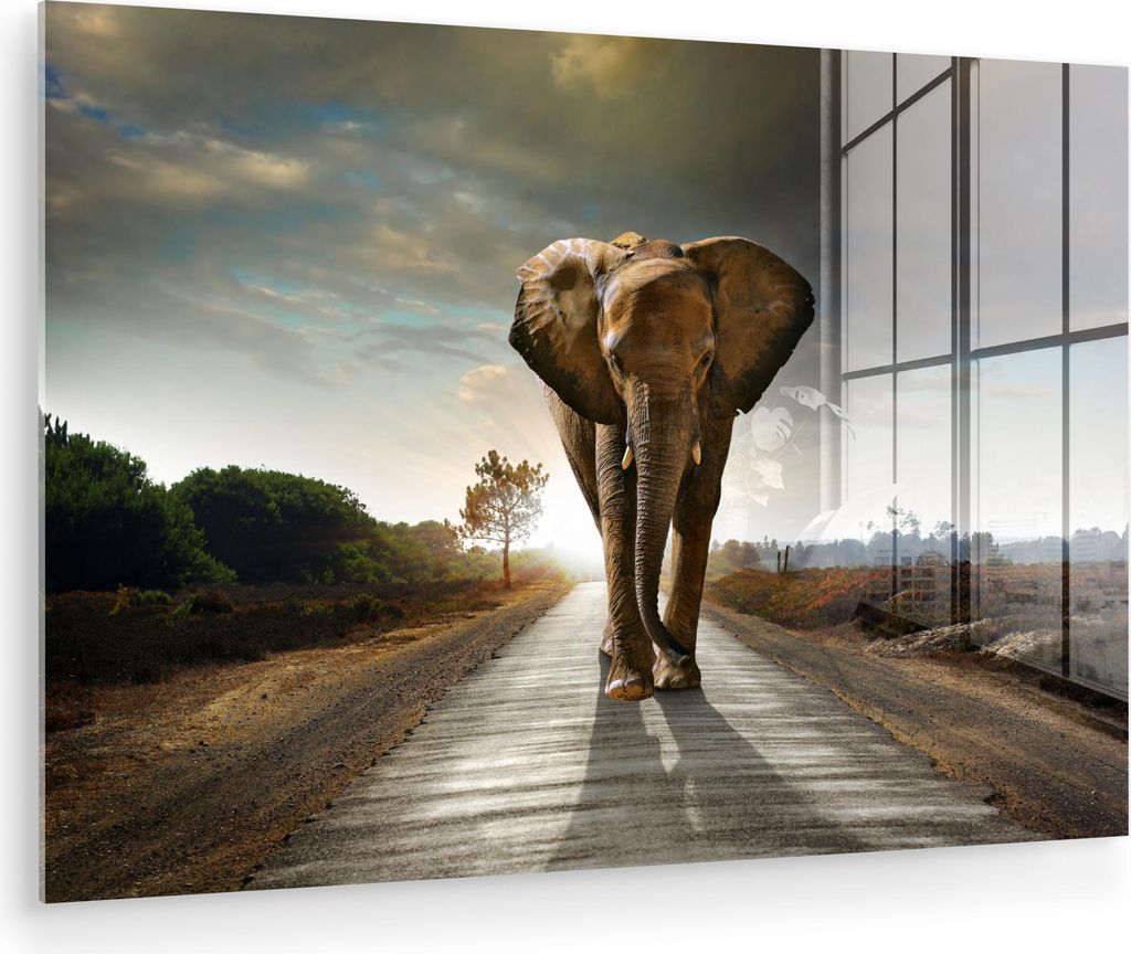 MuchoWow Glasbilder - Bilder auf Wandbild - Foto auf Glas Elefant - Straße - Tiere - Sonnenuntergang - Landschaft 60x40 cm Wanddekoration aus Glas...