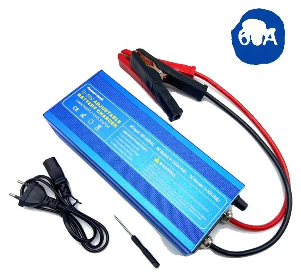 Chargeur LiFePO4 15V avec écran numérique et pinces 60A haute puissance