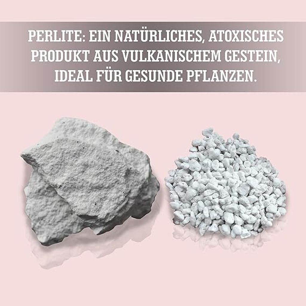LERAVA® Perlite für Pflanzen  - 3L - Optimale Blumenerde Produktbild 