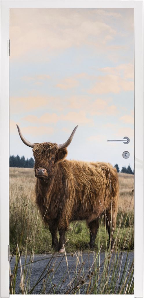 MuchoWow Türtapete Selbstklebende Türfolie Schottischer Highlander - Kuh - Herbst 90x235 cm Türposter Türaufkleber Klebefolie Türklebefolie ...
