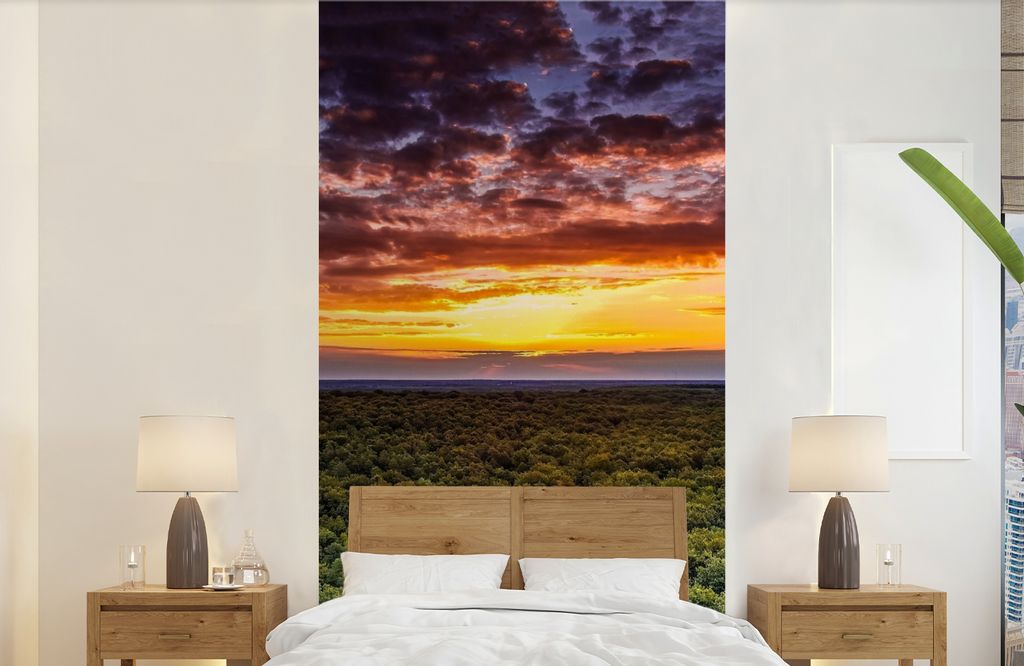 MuchoWow Fototapete für Wohnzimmer oder Schlafzimmer Wandtapete Vinyl Motivtapete Wald - Nacht - Himmel - Horizont - Bäume - 120x240 cm - Hinte...