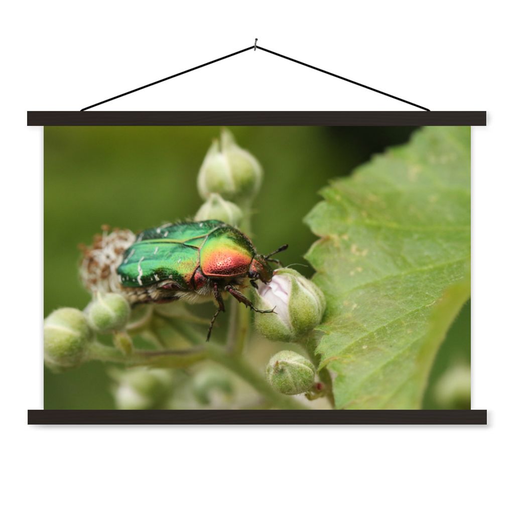 MuchoWow Textilposter Käfer - Farben - Blatt 90x60 cm mit schwarzem Rahmen - Aufhängungssatz