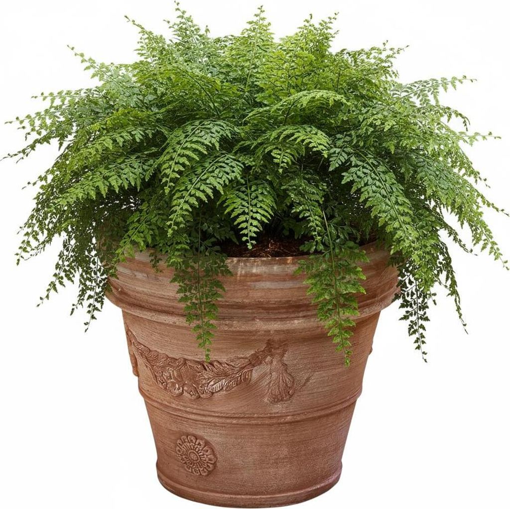 Blumenkübel Aus Kunststoff – 57 Cm Durchmesser, Frostsicher, Für Terrasse & Balkon
