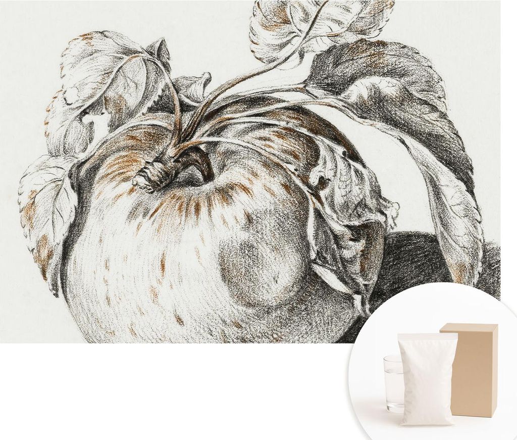 Fototapete - Wandbilder für Wohnzimmer - 152x104 cm - Dekorative Wandfolie - Modernes Design für Wanddekoration - Tapeten für Innenräume - Apfe...
