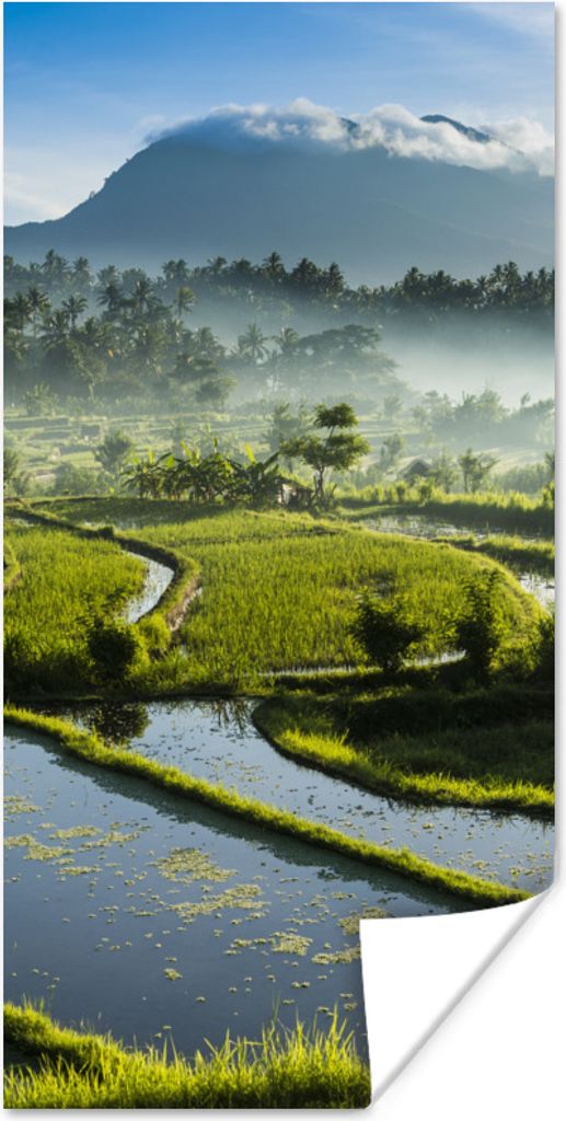 MuchoWow Poster Reisfelder auf Bali 60x120 cm - Wandschmuck