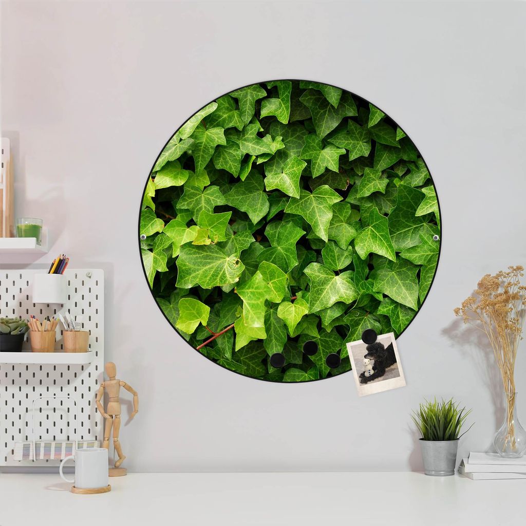 Design Stahlmagnettafel Schwarz Rund 47cm Efeu