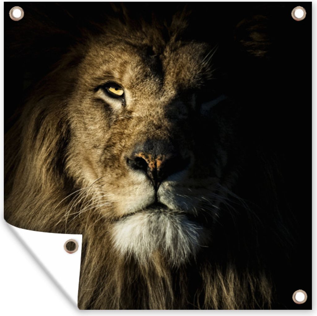MuchoWow 50x50 cm Outdoor-Poster Gartendeko Sichtschutz Garten Poster für den Garten Löwe - Licht - Schwarz