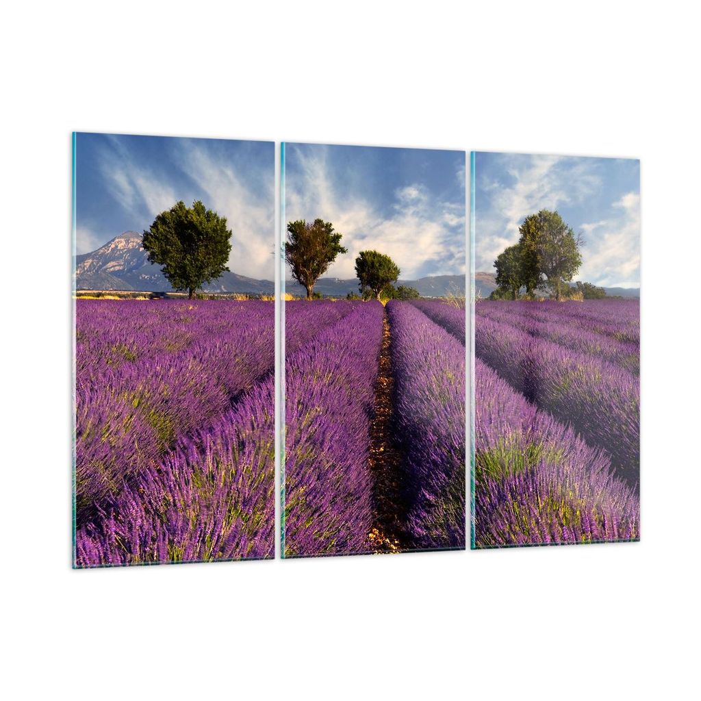 Bilder auf glas - Landschaft Wiese Pflanzen - 165x110cm - Glasbilder - Wandbilder - Kunstdruck - zum Aufhängen bereit - Wanddekoration aus Glas - ...