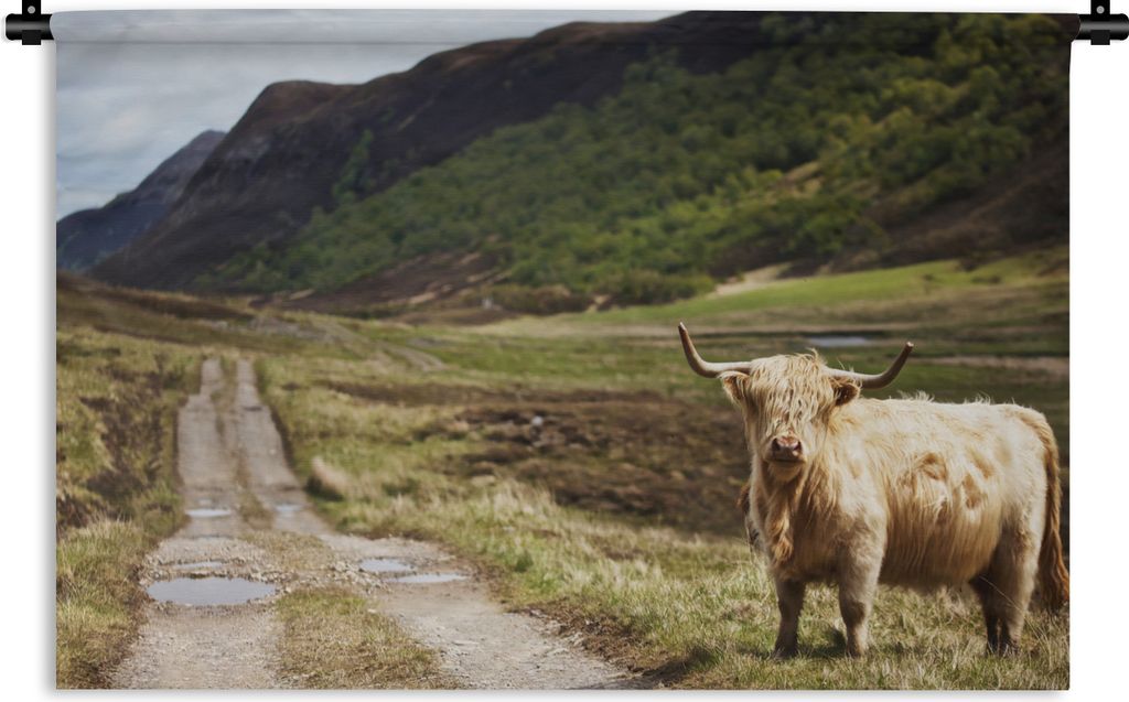MuchoWow Wandteppich Wandbehang Schottische Highlander - Pfad - Wald 60x40 cm Tapisserie Dekoration Wandtuch - Wanddekorationen