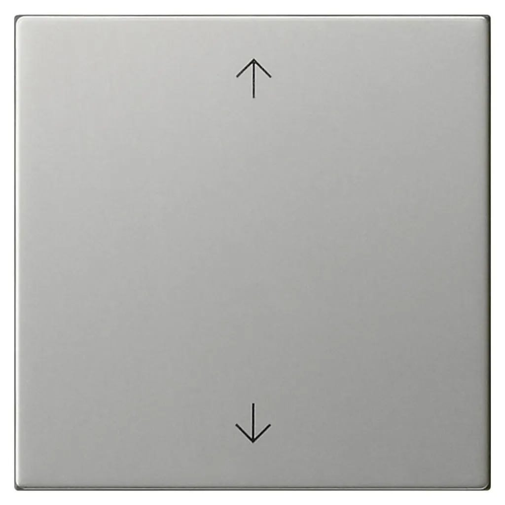 Plaque interrupteur flèches Gira 5361600 | Rénovation System 55