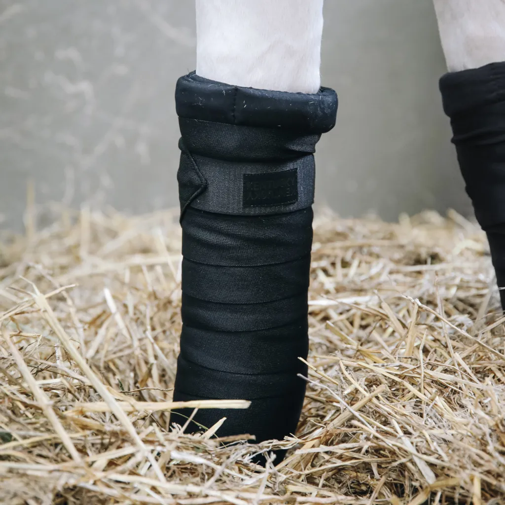 Soutien des membres cheval : Bandes d'écurie Kentucky Repellent Noir