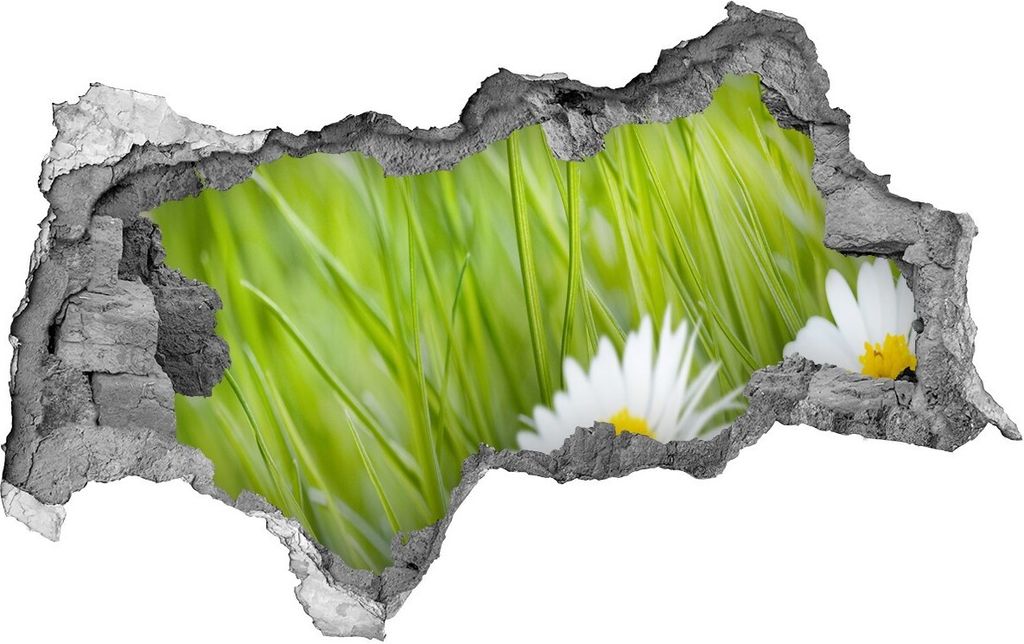 Selbstklebender Loch-3D-Aufkleber 95x73 cm Gänseblümchen
