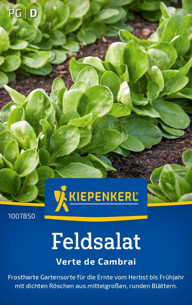 Kiepenkerl Feldsalatsamen Verte de Cambrai Valerianella Produktbild 