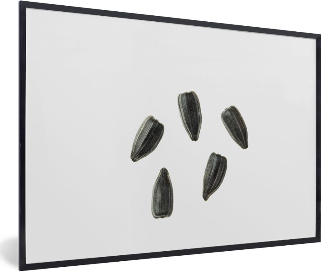 MuchoWow MuchoWow Gerahmtes Poster Schwarze Sonnenblumenkerne auf weißem Hintergrund 60x40 cm - Poster mit zchwarzem Bilderrahmen - Printing -...