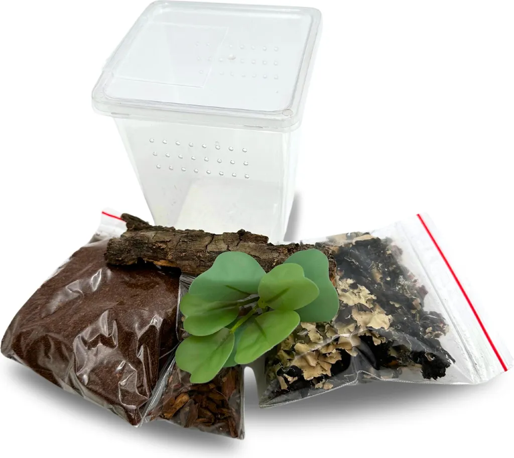 Terrarium vertical pour araignée arboricole juvénile - Kit d'élevage 2L