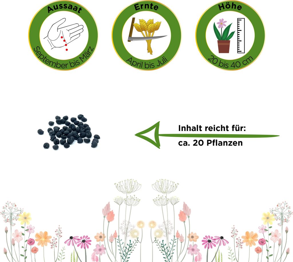 Bärlauch Waldknoblauch Samen - Allium ursinum - Produktbild 2