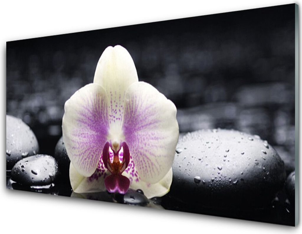 Küchenrückwand aus Glas 100x50cm Spritzschutz Blume Steine Pflanzen