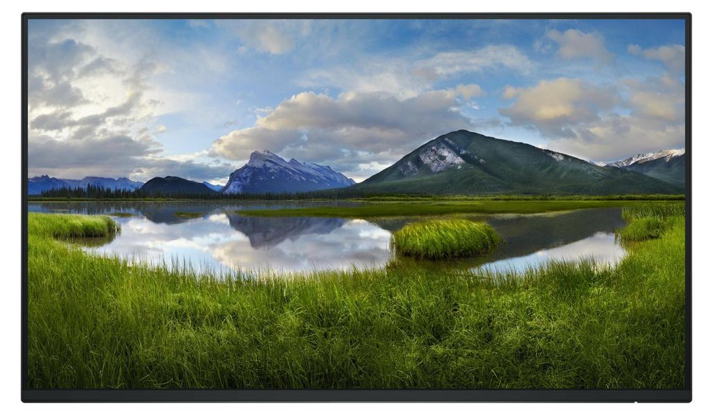 Dell P2425HE - Ohne Standfuß - LED-Monitor - 61 cm (24")