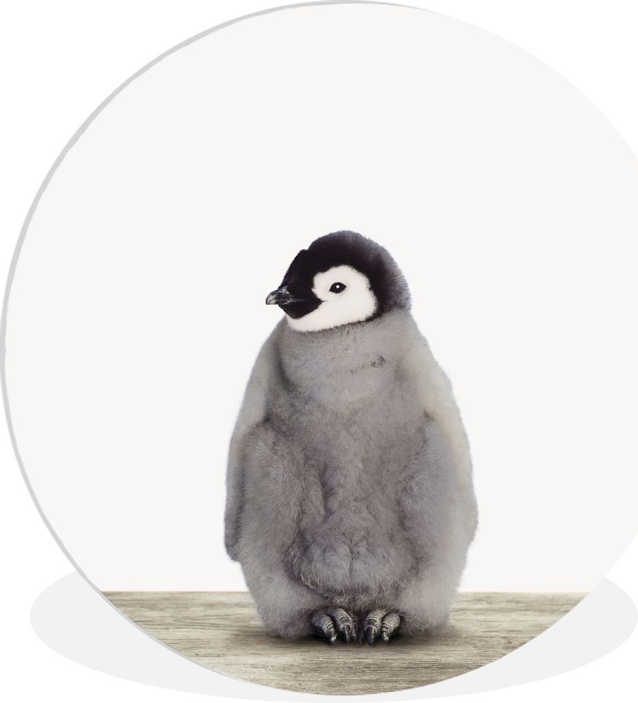 MuchoWow Rundes Wandbild - Runde Bilder Kinder - Pinguin - Grau - Tiere - Mädchen - Jungen Ø 30 cm Kreis Wanddekoration Kunststoff - Wandkreis ...