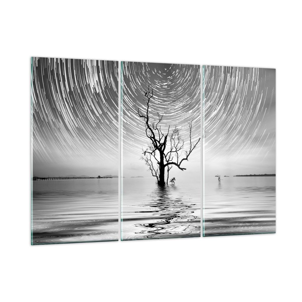 Bilder auf glas - 3 Teile - Schwarzweiß Baum See - 165x110cm - Glasbilder - Wandbilder - Bilder - zum Aufhängen bereit - Wanddekoration aus Glas ...