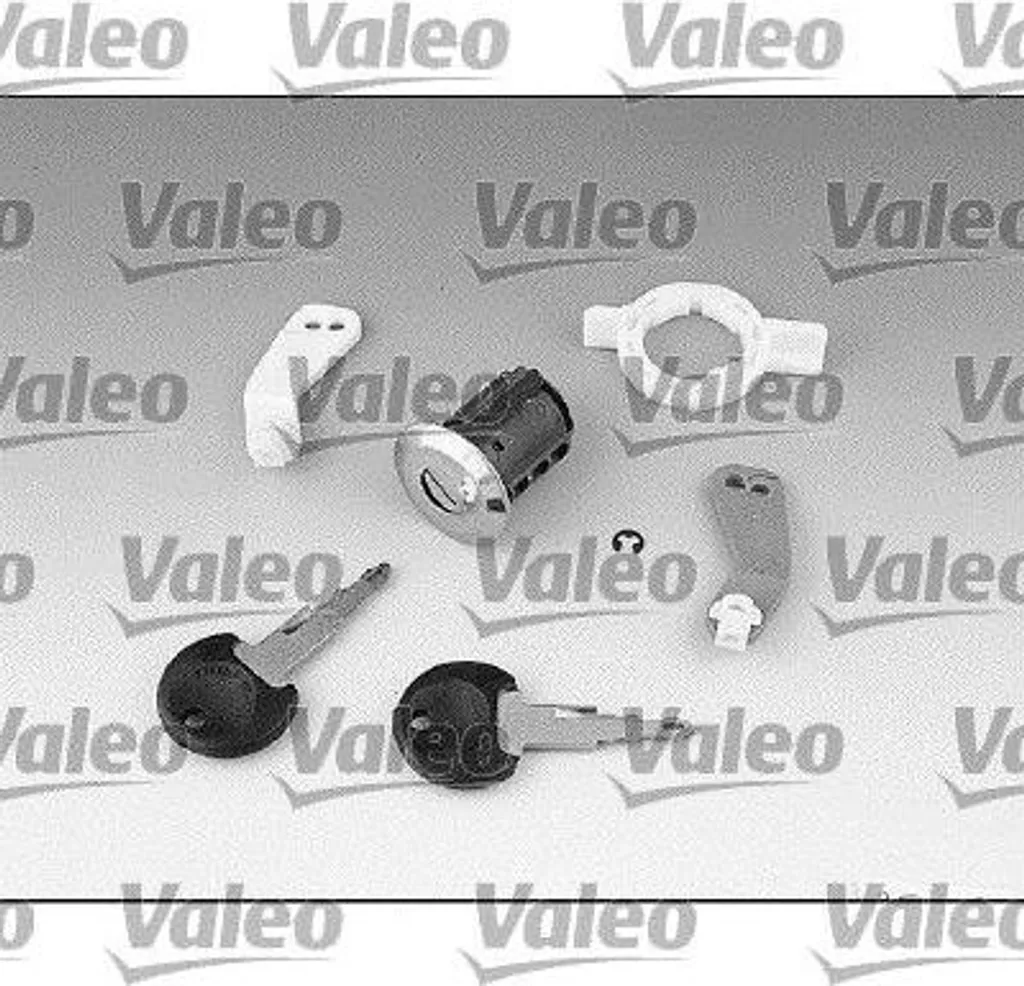Serrure Master bloquée ? Cylindre VALEO 256523 Réparation OE 7701470944