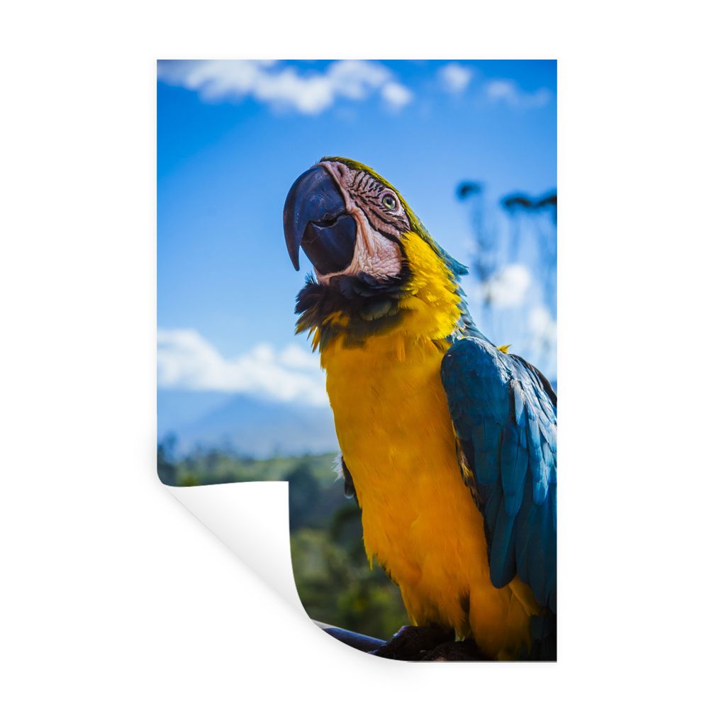 MuchoWow Wandtattoo Wandsticker Wandaufkleber Vogel - Papagei - Gelb 20x30 cm Selbstklebend und Repositionierbar - Sticker - Dekorfolie