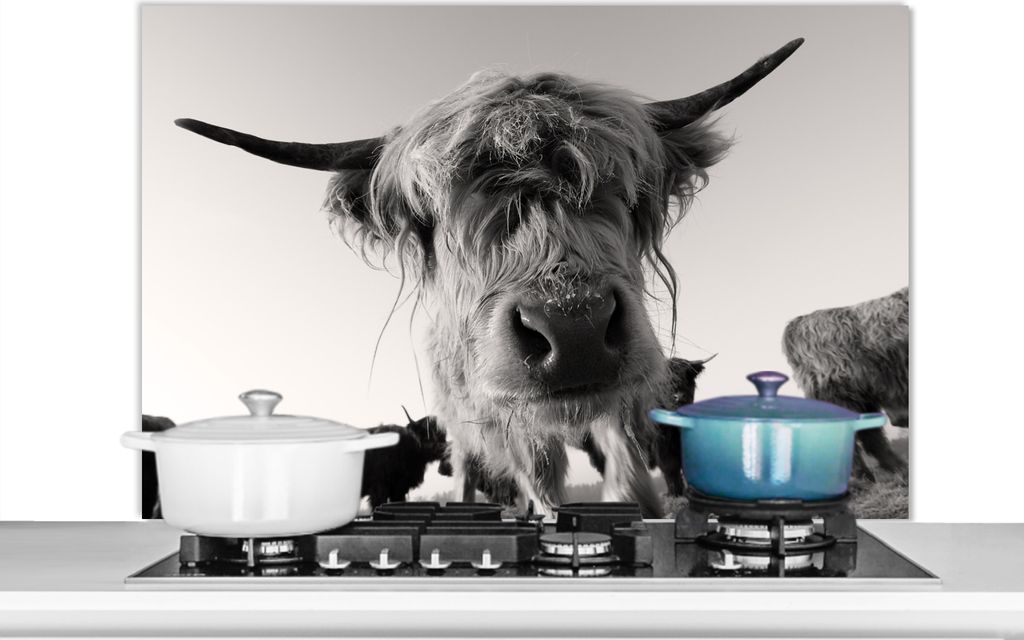 KitchenYeah Spritzschutz Küche - Küchenrückwand - Wandschutz für Herd und Spüle - Schottisches Hochlandrind - Schwarz - Weiß - Tiere 100x6...