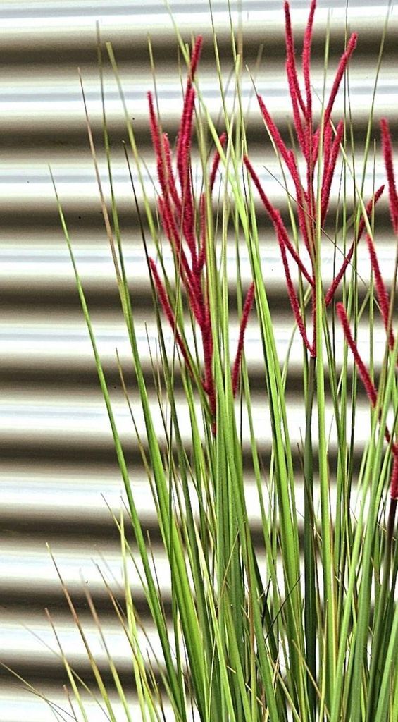 artplants.de Deko Chinaschilf WASDIN mit Rispen, grün-pink, 125cm - Künstlicher Schilf