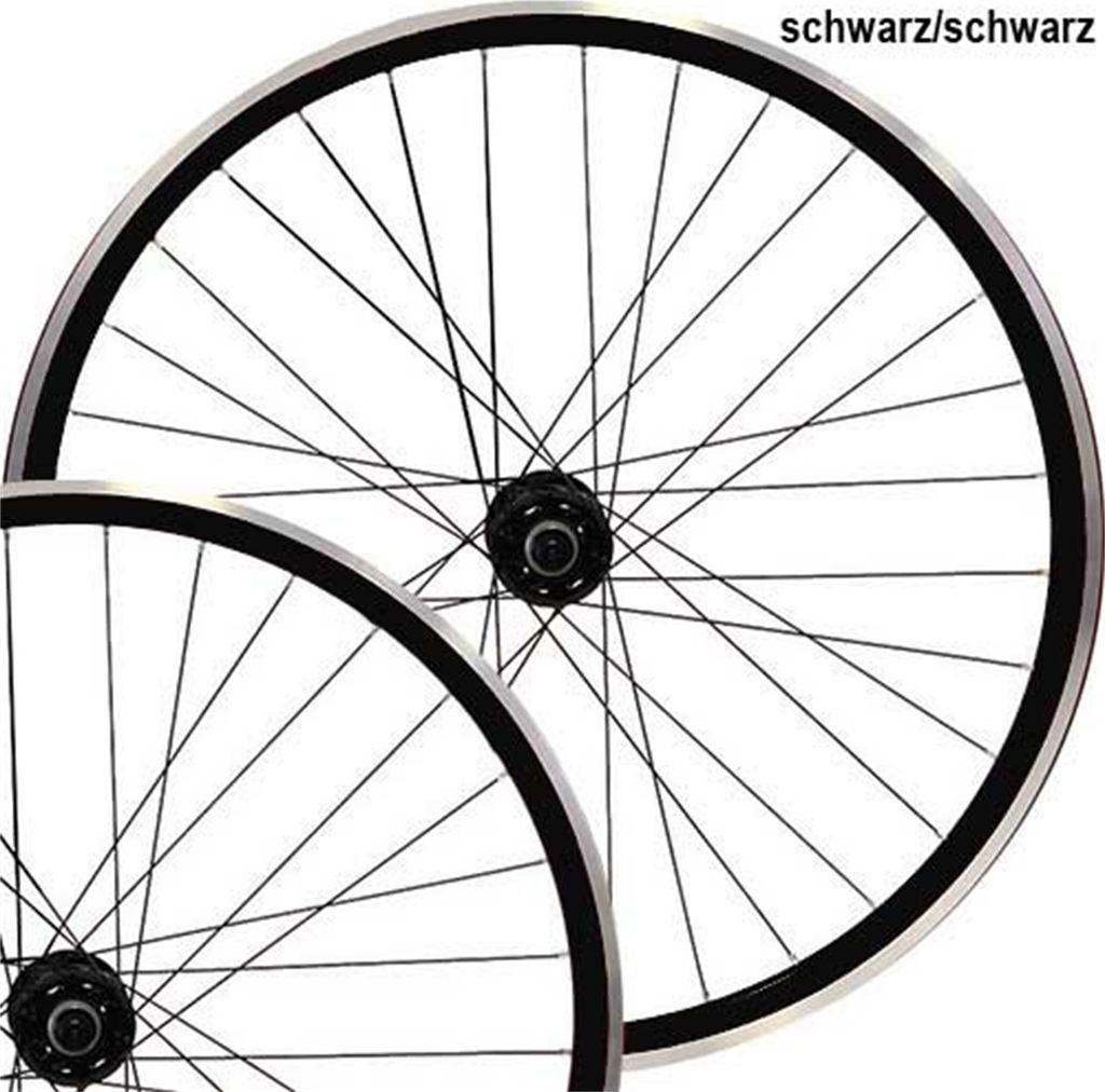 Point Radsatz 28 Single-Speed, Hohlkammer, Freilauf + Fixed, schwarz