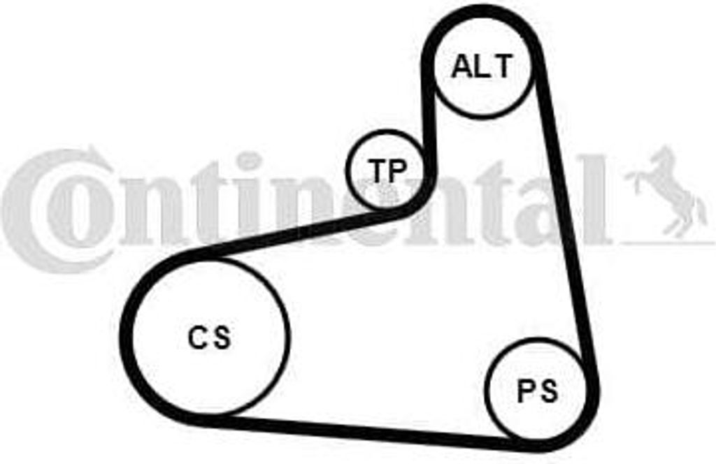 Kit Gürtel 6PK906K3