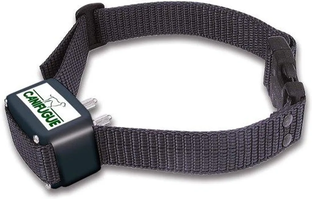 Collier pour chien imperméable avec boucle réglable - Série AquaGuard XL