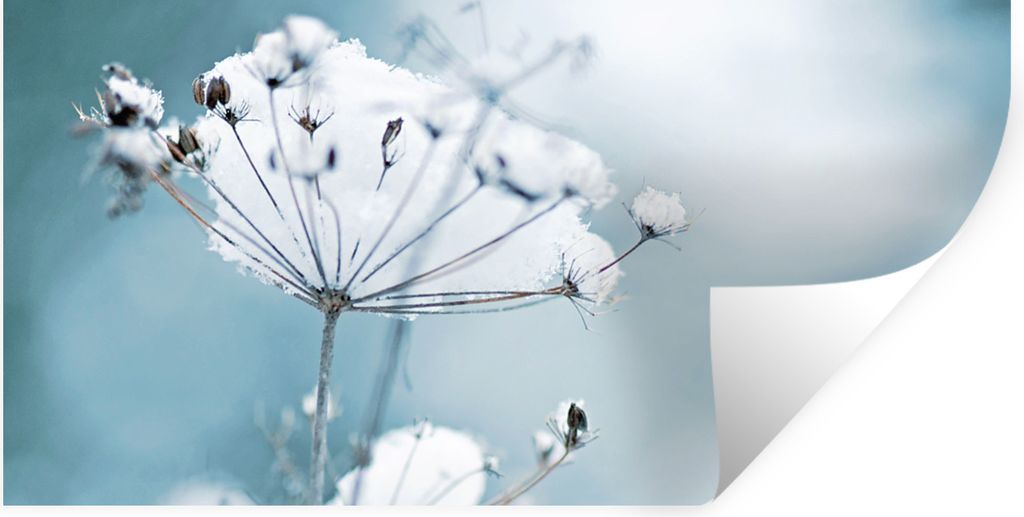 MuchoWow Wandtattoo Wandsticker Wandaufkleber Schnee - Blumen - Winter - Zweige 120x60 cm Selbstklebend und Repositionierbar - Sticker - Dekorfolie