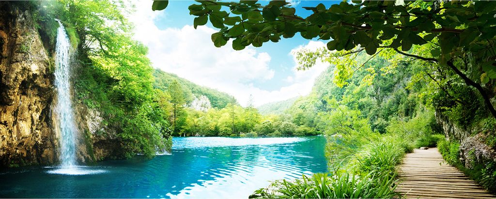 Tulup Küchenrückwand Spritzschutz aus Glas -125x50 -Spritzschutz auf gehärtetes Glas Deko Landschaften Wasserfall im Wald