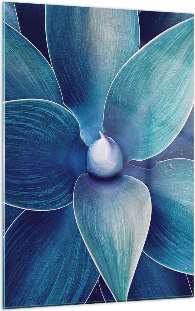 Bilder auf glas - Einteilig - Agave Blau Blume - 50x70cm - Glasbilder - Wandbilder - Bilder - zum Aufhängen bereit - Wanddekoration aus Glas - Gla...