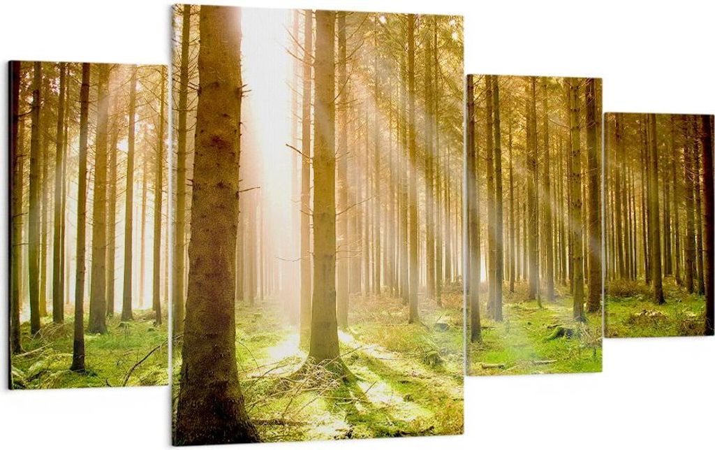 Bild auf Leinwand - Leinwandbild - Bäume Sonne Natur - 160x90cm - Wand Bild - Wanddeko - Wandbilder - Leinwanddruck - Bilder - Kunstdruck - Wandde...
