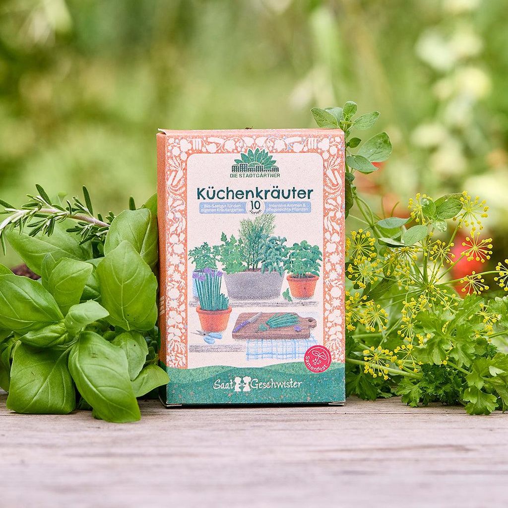 -Saatgut-Set Küchenkräuter – 10 samenfeste Kräuter-Sorten wie Basilikum, Dill, Petersilie & Thymian – Nachhaltig verpacktes Kräutersamen Se...