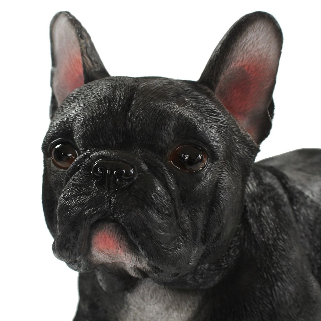Erstaunlich Franzsische Bulldogge Figur Gross Bild